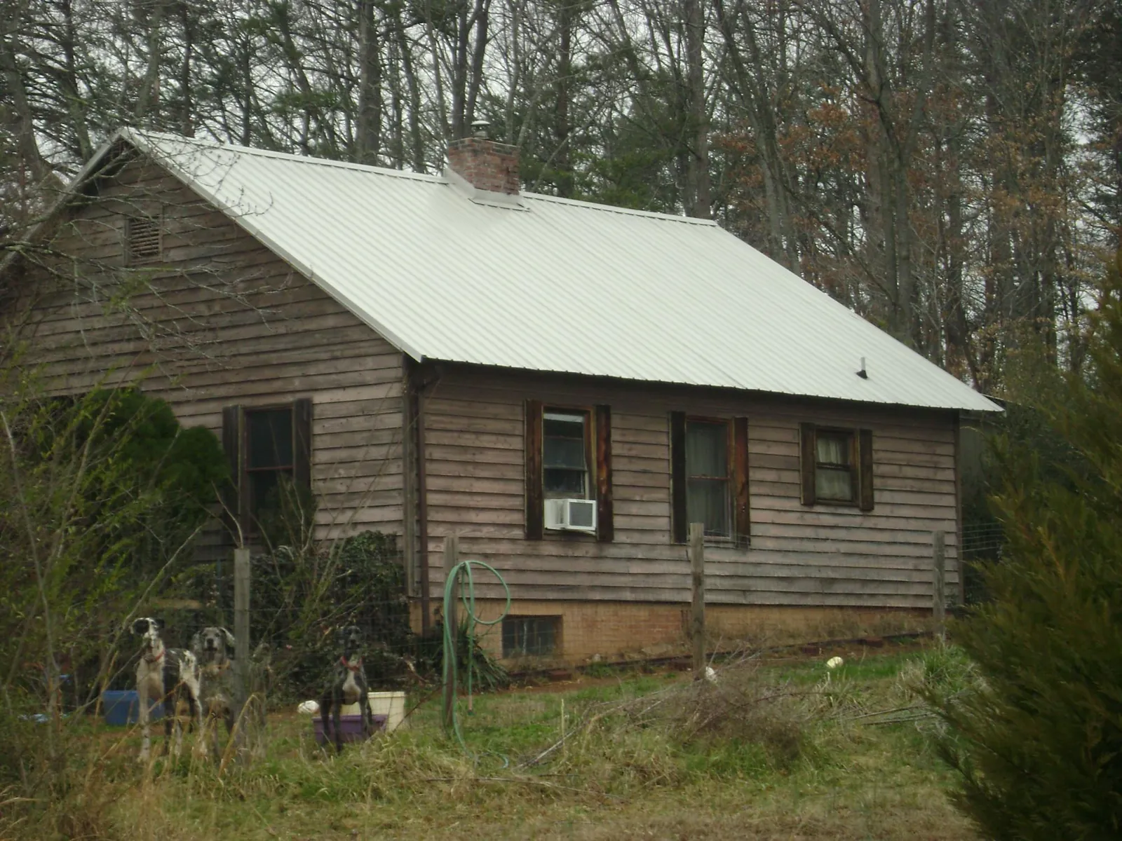 White metal roof on an old wood sided farmhouse, from a Asphalt Shingle Roof Repair job in Egg Harbor
